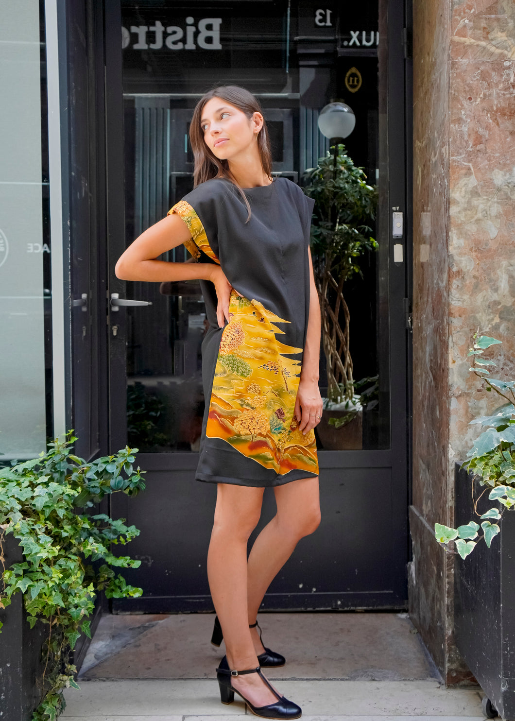 Robe Tomesode 